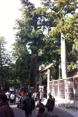 伊勢神宮